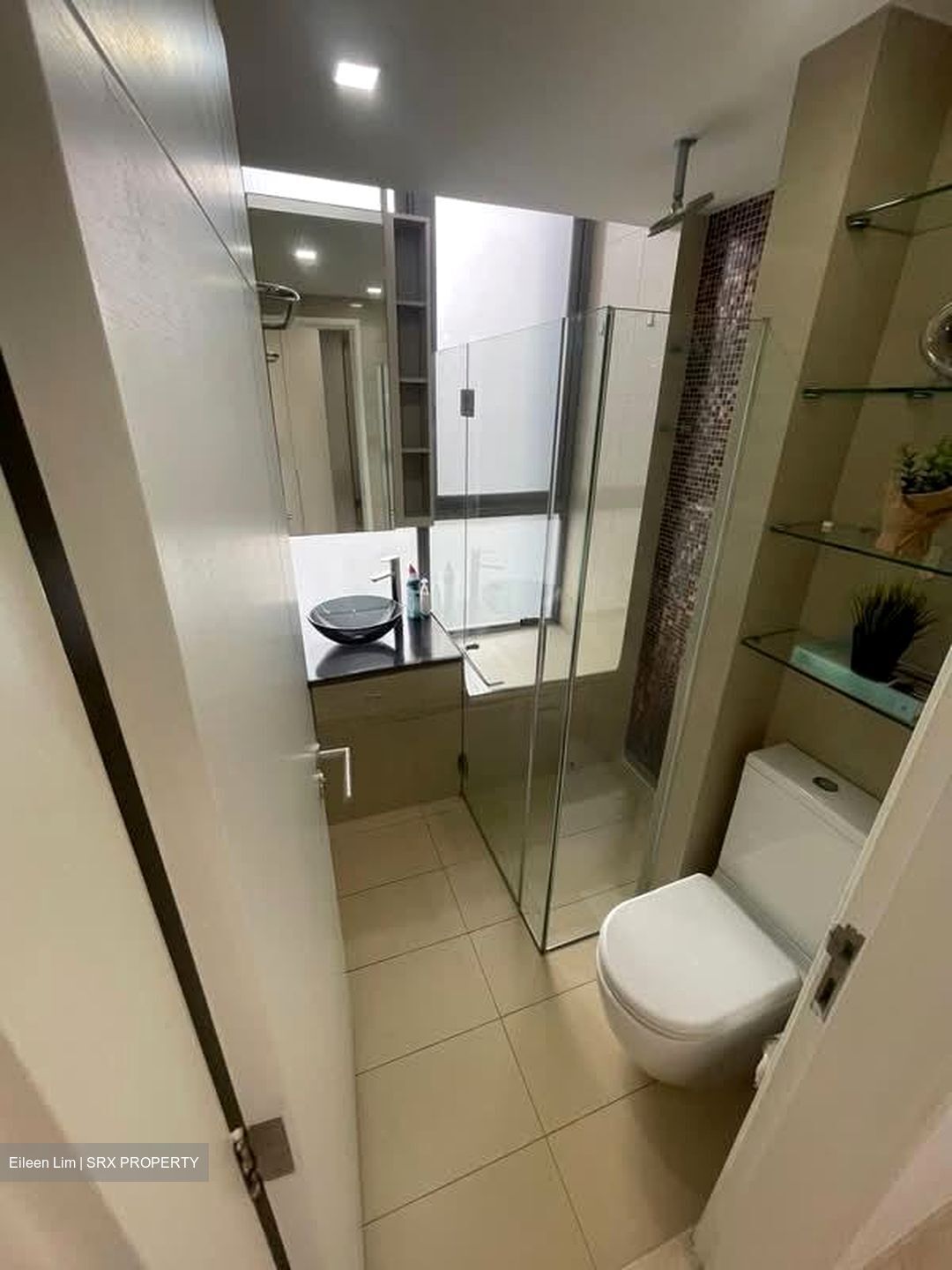 Angullia Park Residences @ Orchard (D10), Apartment #538017741